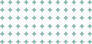 Inicio Pattern 300x144